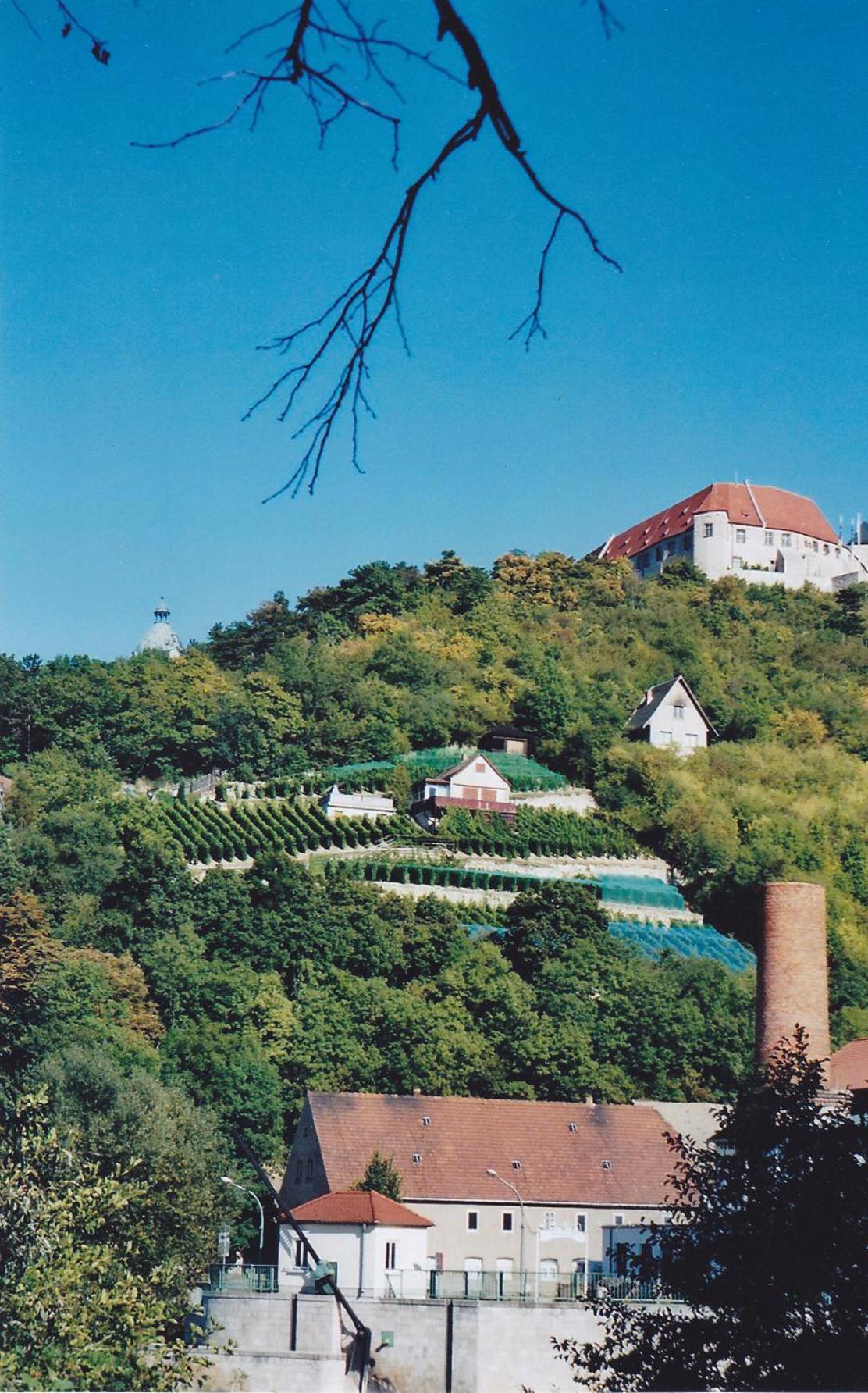 Hotel Garni Zum Rebstock Наумбург Экстерьер фото