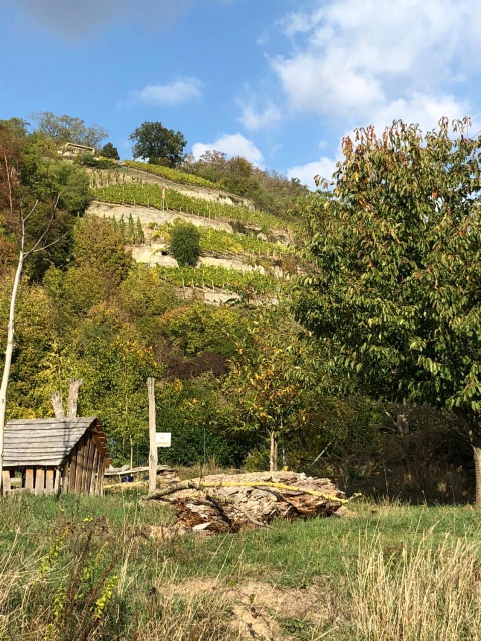 Hotel Garni Zum Rebstock Наумбург Экстерьер фото